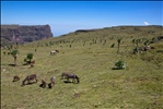 Simien Mountains National Park